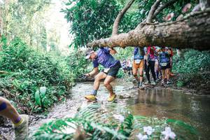 BIB: 
                            <button type="button" onclick="openModal(25474772)" class="btn btn-primary btn-sm float-right btn-popup" data-toggle="modal" data-target=".modal-high-quality">
                        <i class="fas fa-shopping-cart"></i> Add to Cart
                    </button>
                                            <button type="button" onclick="isThisMe(25474772, true)" class="btn btn-success btn-sm float-right btn-popup btn-isme hidden" data-toggle="tooltip" data-placement="bottom" title="นี่คือรูปของคุณใช่ไหม คลิกที่นี่เพื่อเอาเข้าอัลบั้ม">
                        <i class="fas fa-plus"></i> Add to album
                    </button>
                    <button type="button" onclick="isThisMe(25474772, false)" class="btn btn-warning btn-sm float-right btn-popup btn-isnotme hidden">
                        <i class="fas fa-ban"></i> Remove from album
                    </button>